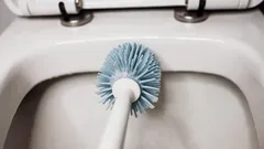 Kedy by ste mali vymeniť záchodovú kefu? Odborníci radia, ako udržiavať hygiena v kúpeľni
