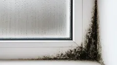 Jesenná vlhkosť: Zvláštne miesta, kde sa skrýva pleseň – nedajte jej šancu